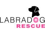 Labradog Rescue
