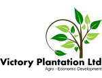 Victory Plantation